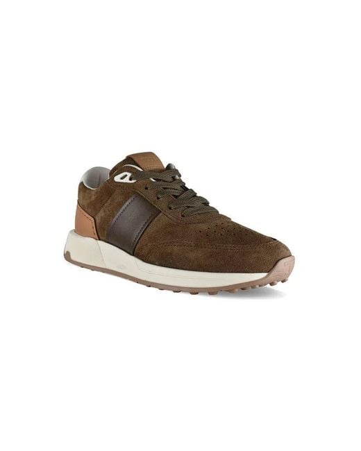 Tod's Brown Sneakers