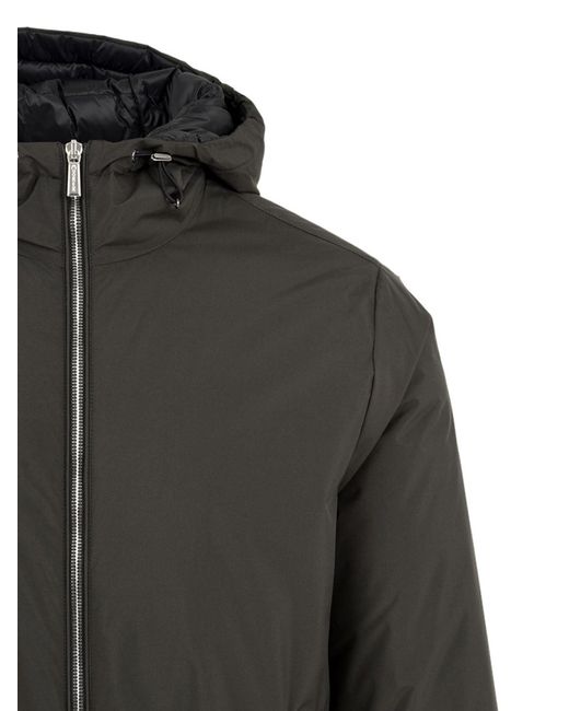 Moorer Gray Coats