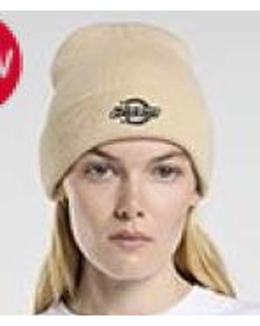 Dickies Hüte in Natural für Herren