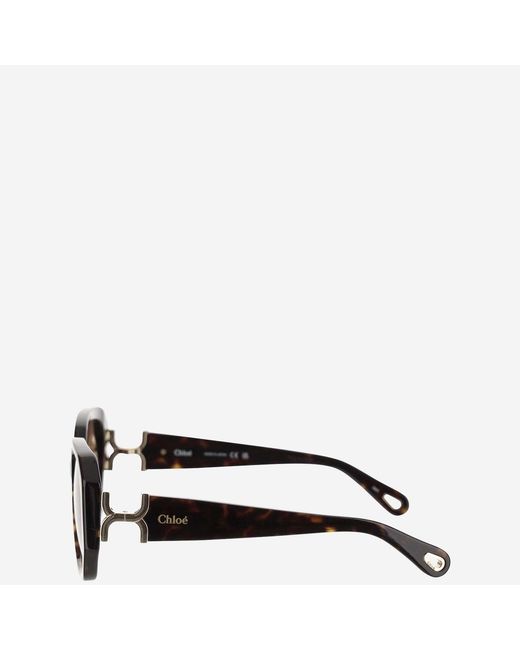 Chloé Brown Logo Tortoiseshell Sunglasses