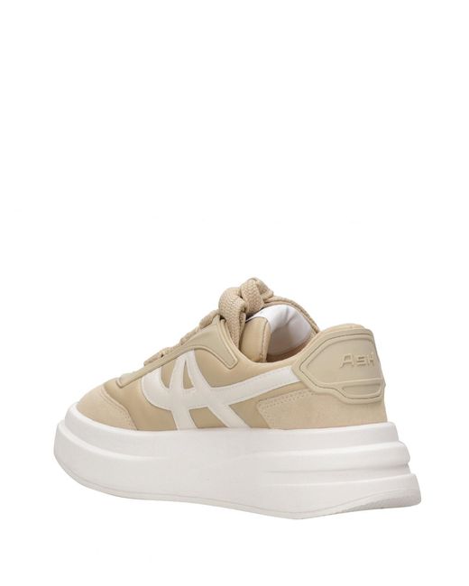 Ash Natural Asche -Turnschuhe