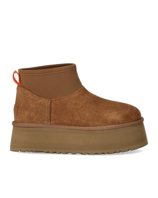 Ugg Brown Classic Mini Dipper Suede/Neoprene/Recycled Materials/Polyester Classic Boots