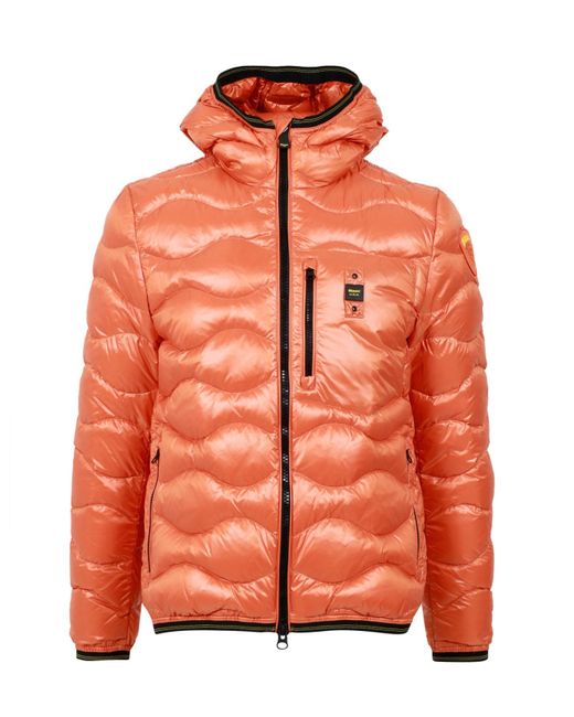 Blauer Jassen in het Orange