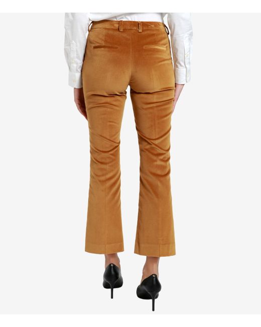 PT Torino Brown Trousers