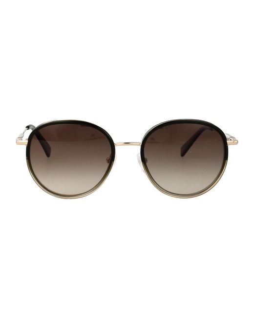 Longchamp Brown Sunglasses