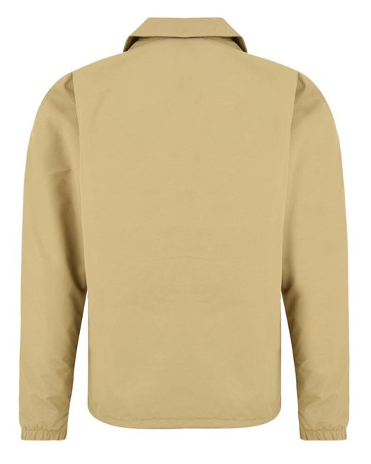 Dickies Jassen in het Natural