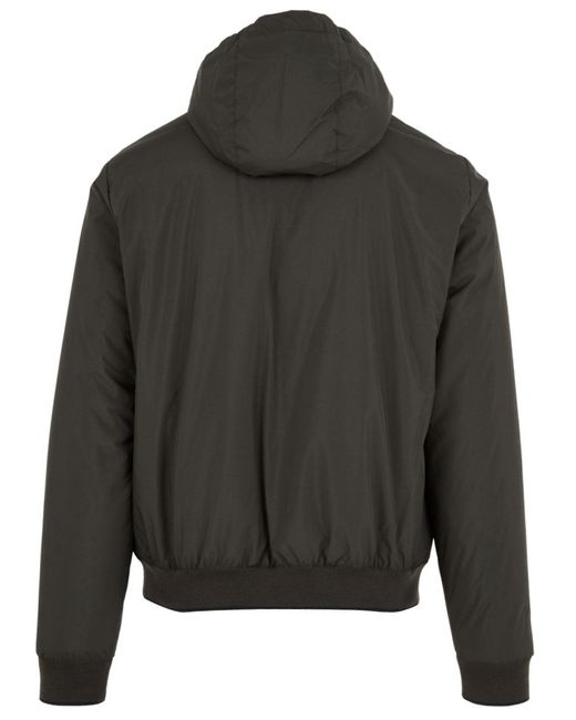 Moorer Gray Coats