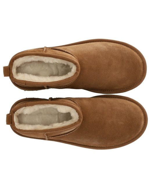 Ugg Brown Classic Ultra Mini Platform Chestnut Boot