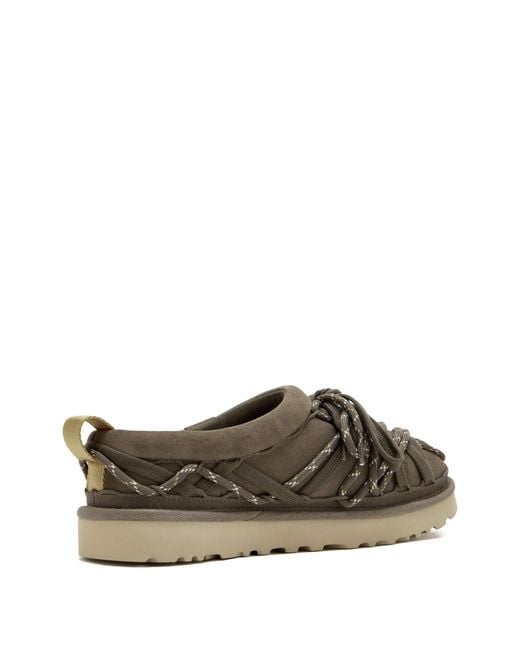 Ugg Gray W Tasman Lace