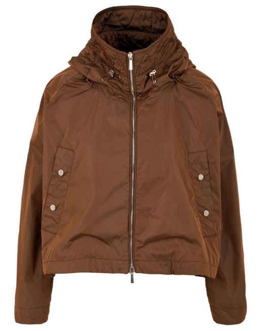 Moorer Brown Coats