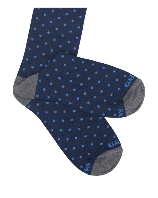 Gallo Blue Underwear