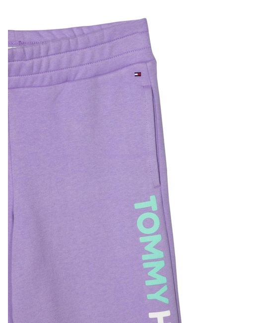 Tommy Hilfiger Purple Overprint Sweatpant