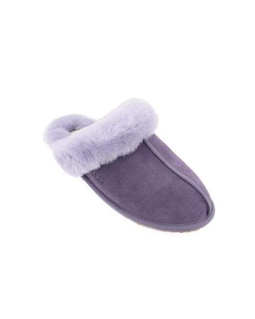 Ugg Scuffette Slippers in het Purple