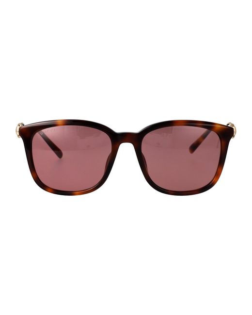 Gucci Brown Havana-Havana- Acetate Sunglasses