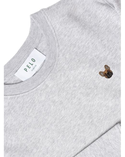 PELO FOUNDATION Sweatshirt in het Gray voor heren