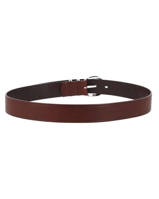 sunflower Brown Leather Belt for men