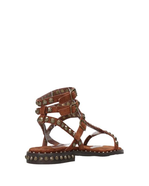 Ash Brown Sandalen Ton