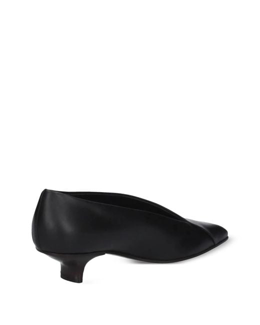 Vicini Black Carpa