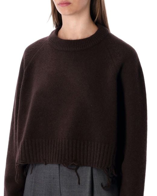 Low Classic Black Sweaters