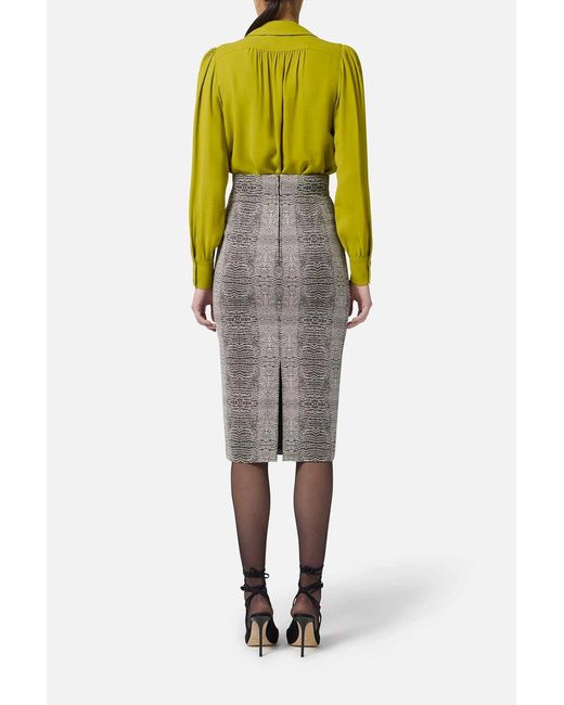 Elisabetta Franchi Gray Skirts