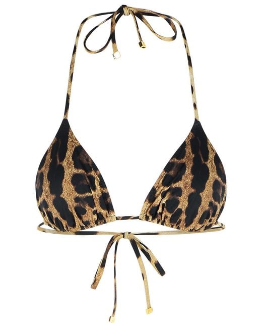 Dolce & Gabbana Multicolor Leopard Print Swimsuit