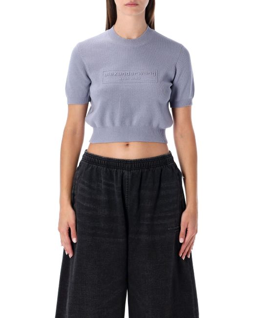 Alexander Wang Blue Pullover