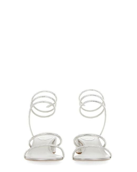Rene Caovilla White Sandalo Cleo
