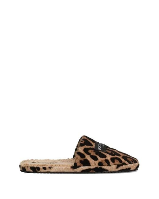 Dolce & Gabbana Brown Printed Slippers