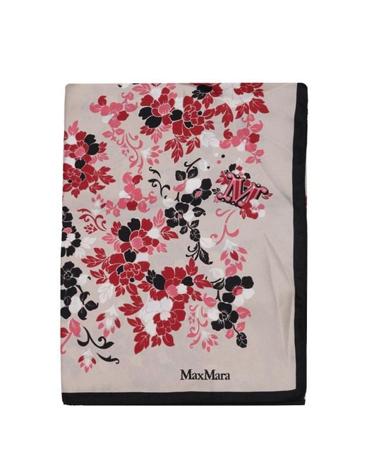Max Mara Pink Scarfs