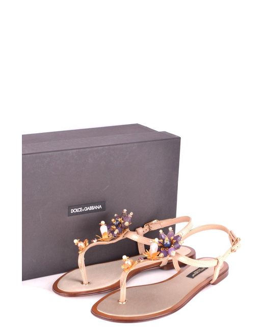 Dolce & Gabbana Pink Dolce & Gabbana Flip-Flops