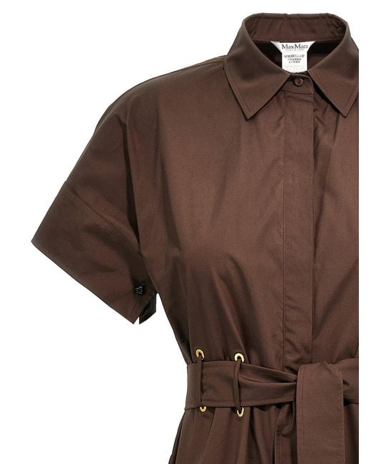 Max Mara Brown Agoraio' Dress