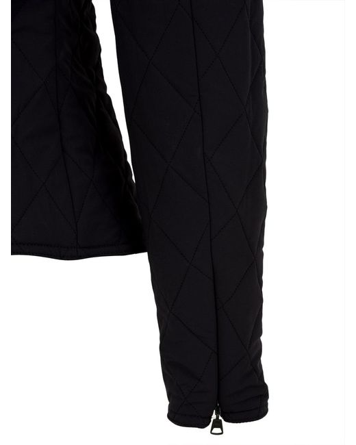Aspesi Jassen Blauw in het Black