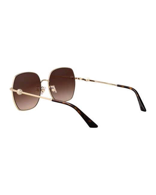 Jimmy Choo Brown Sunglasses