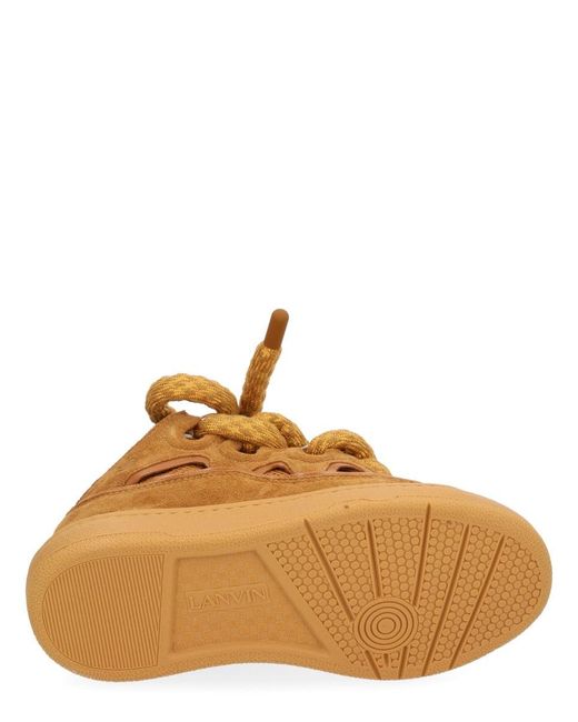 Lanvin Brown Curb Sneakers