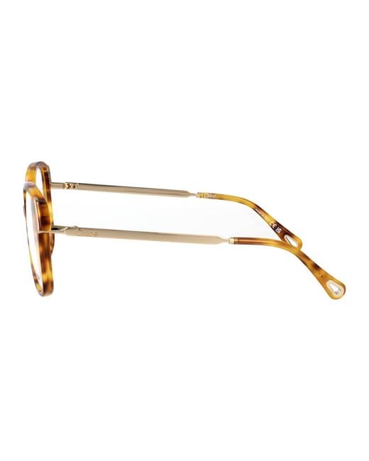 Chloé Brown Squared Optical Ch0287 O 008