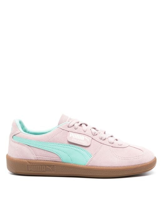PUMA Pink Palermo Shoes for men