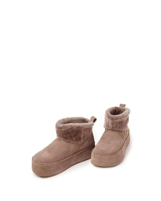 Paloma Barceló Brown Booties