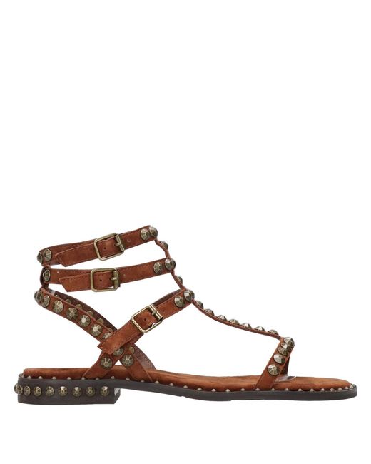 Ash Brown Sandalen Ton