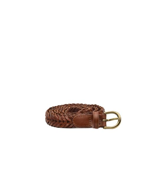 Ceintures de diffusion Dragon marron Dragon Diffusion en coloris Brown