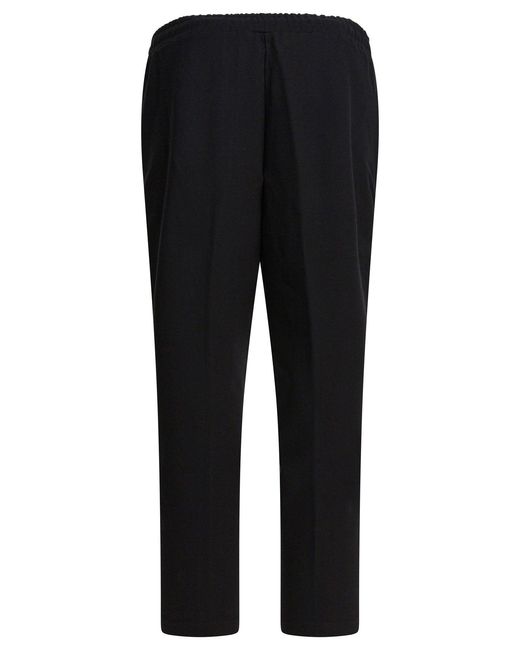 Altum Black Trousers for men