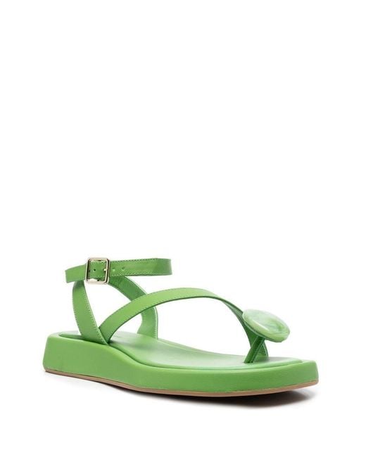 Gia Borghini Green Flat Thong Sandal Shoes