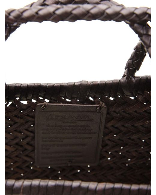 Dragon Diffusion Brown Bags