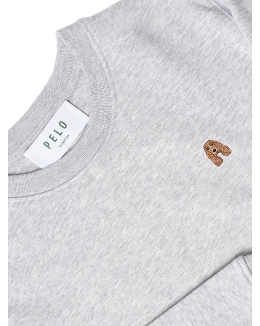 PELO FOUNDATION Sweatshirt in het Gray voor heren