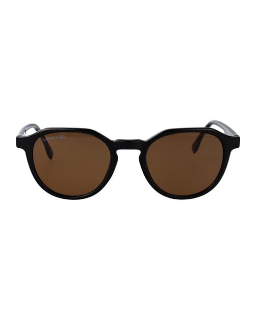 Lacoste Brown Sunglasses for men