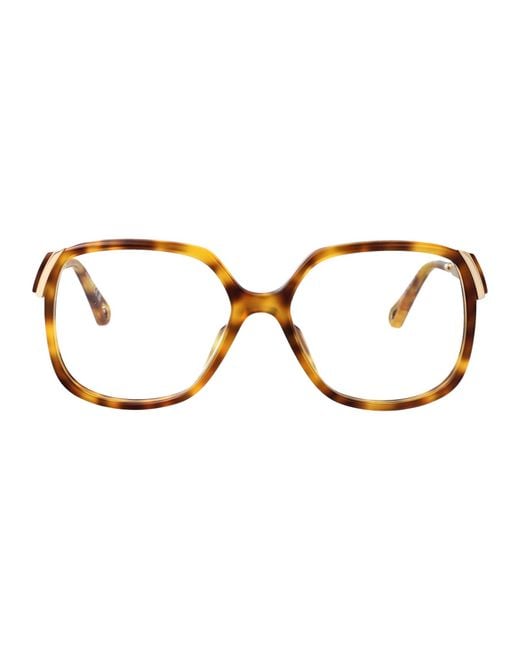 Chloé Brown Squared Optical Ch0287 O 008