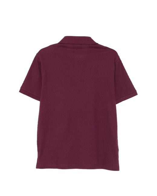 Emporio Armani Purple Cotton Polo Shirt