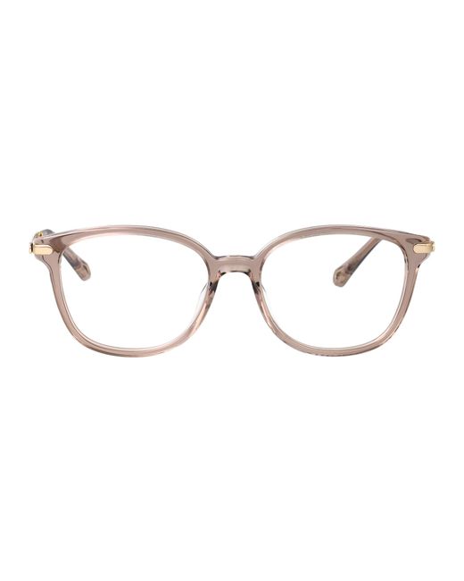 Chloé Multicolor Acetate Glasses