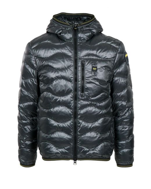 Blauer Blauwe Jassen in het Gray