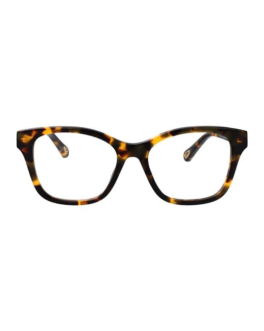 Chloé Brown Havana-Havana-Transparent Recycled Acetate Glasses