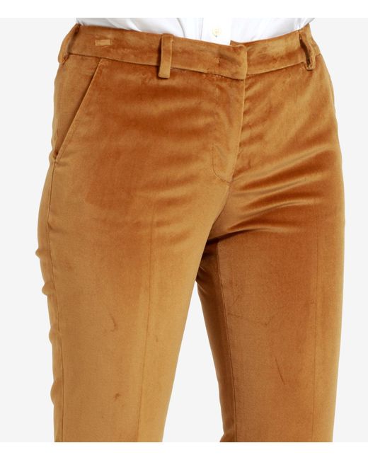 PT Torino Broek in het Brown